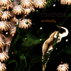 Synaesthesia - Embody